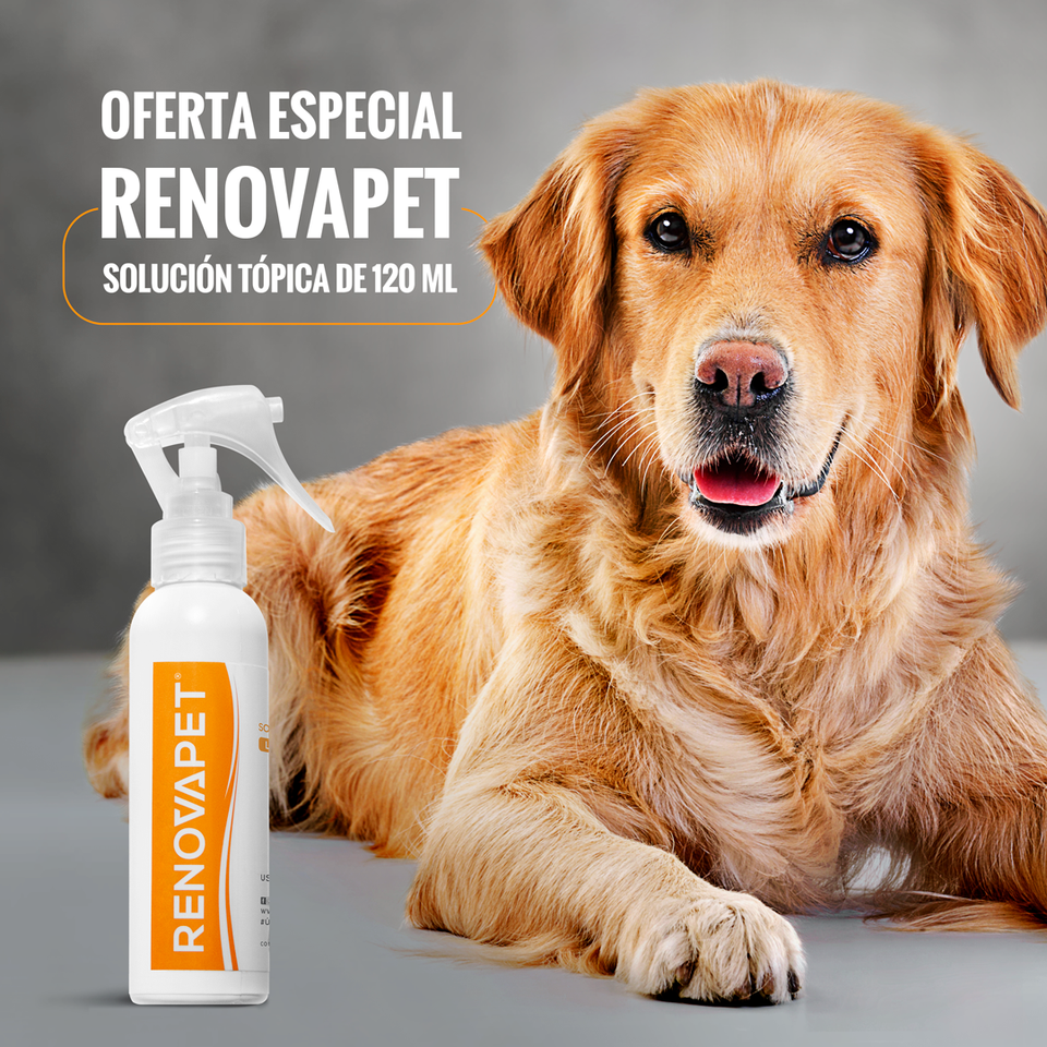 🐾 RENOVAPET TÓPICO- Solución Dérmica Para Animales 🐶🐱🐎