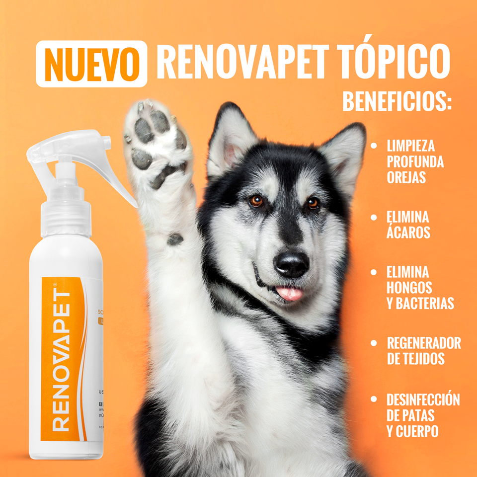 🐾 RENOVAPET TÓPICO- Solución Dérmica Para Animales 🐶🐱🐎